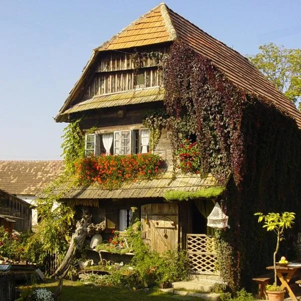 拉夫里克乡村旅游家庭旅馆，位于Mužilovčica的酒店