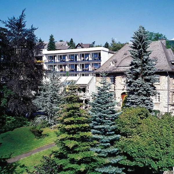 鲁特斯公园酒店，位于维林根的酒店