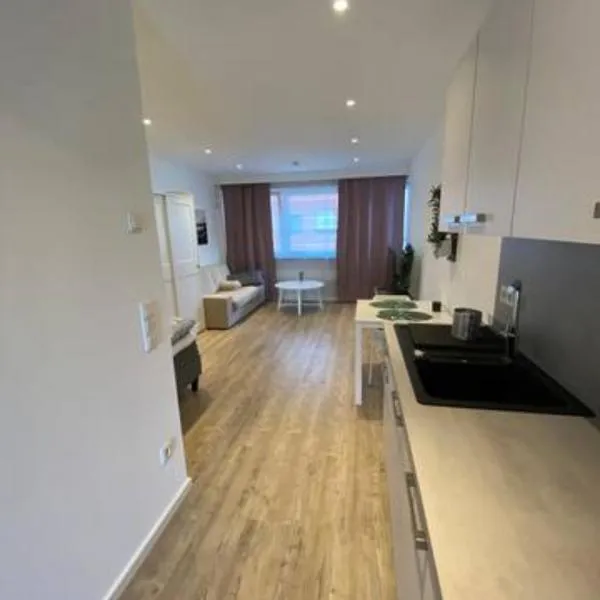 BG Living & Hosting - Stylish Luxury Apartments in the City Center - Parking, WiFi & Washing Machine，位于特里尔的酒店