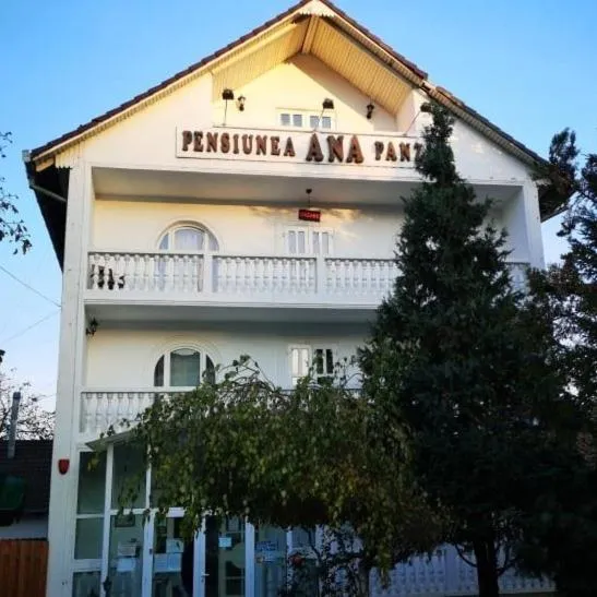 Pensiunea Ana，位于Căluşeri的酒店