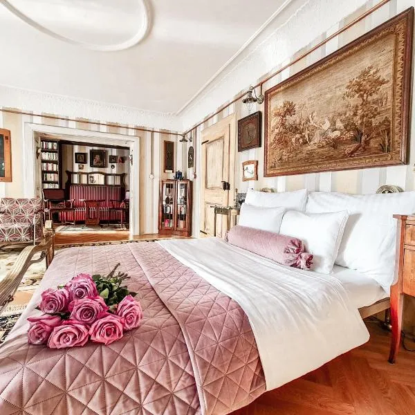 Divná pani Luxury Gallery Rooms，位于维尼的酒店