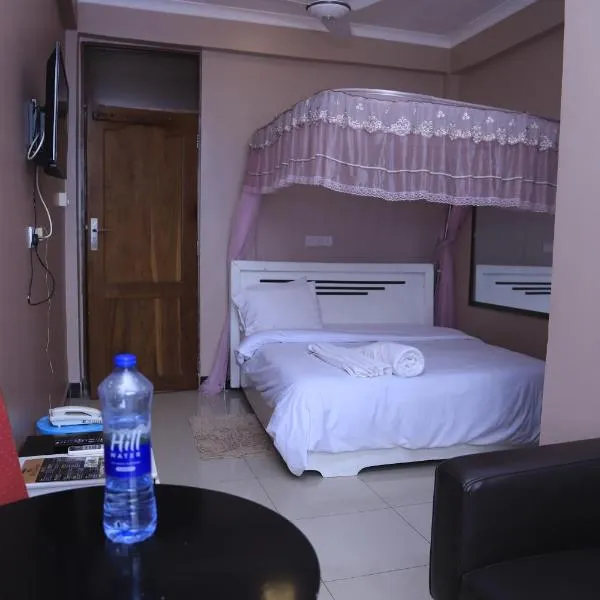 B10 Airport Lodge，位于Vikongoro的酒店