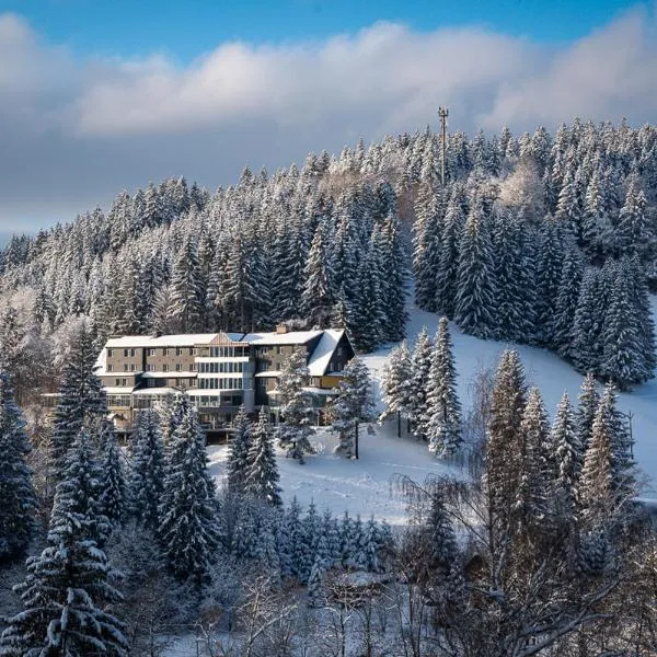 Spa hotel Lanterna，位于大卡尔洛维采的酒店