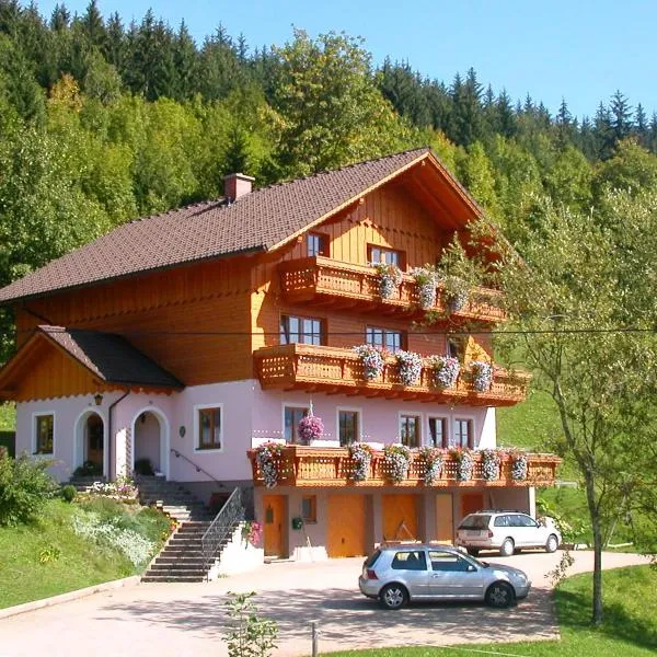 Urlaub am Bauernhof bei Familie Steinbrecher，位于巴德米滕多夫的酒店