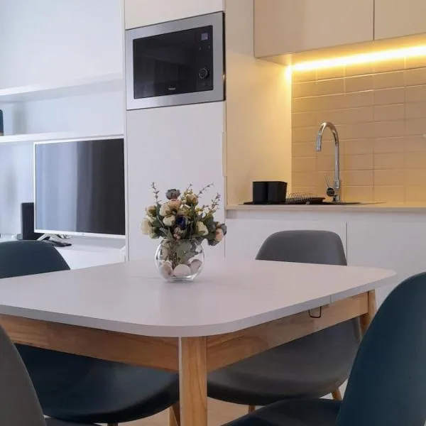 Light Brown Central Apartment，位于阿威罗的酒店