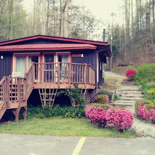 Overlook Cottage，位于Roan Mountain的酒店