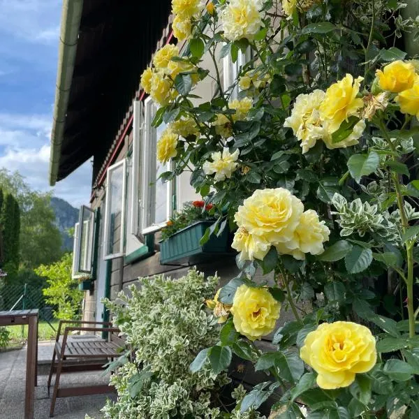 Holzhaus Falkenstein，位于Schwarzau im Gebirge的酒店