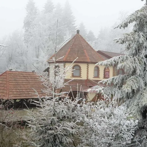 Ворота Карпат，位于Delyatyn的酒店