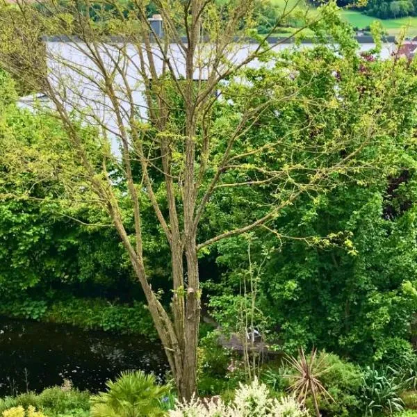 Ferienwohnung Teichblick，位于Priesendorf的酒店