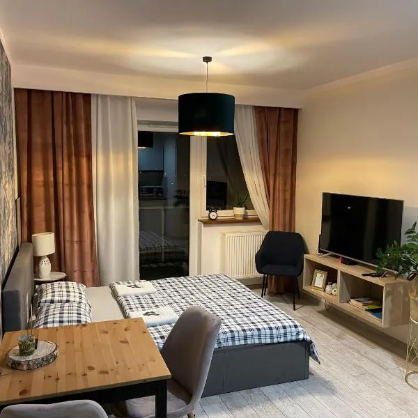 Apartament ROYAL Chełmońskiego Śrem，位于希雷姆的酒店