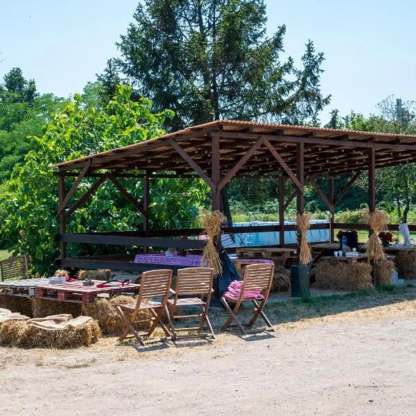 Agriturismo Why Farm，位于Invorio Inferiore的酒店