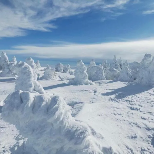 Loire-Gerbier-Mézenc，位于Sainte-Eulalie的酒店