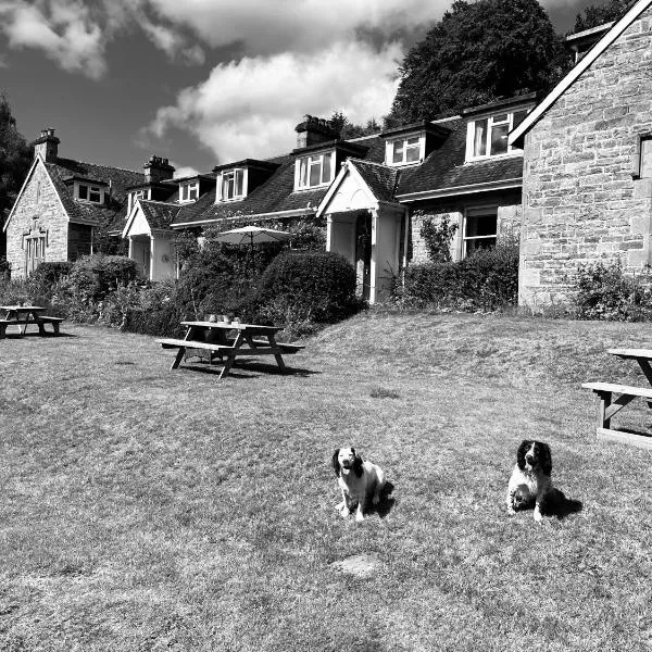 The Cnoc Hotel，位于比尤利的酒店