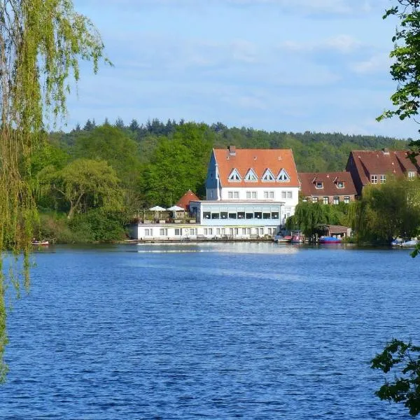 维森罗斯餐厅及酒店，位于Niendorf an der Stecknitz的酒店