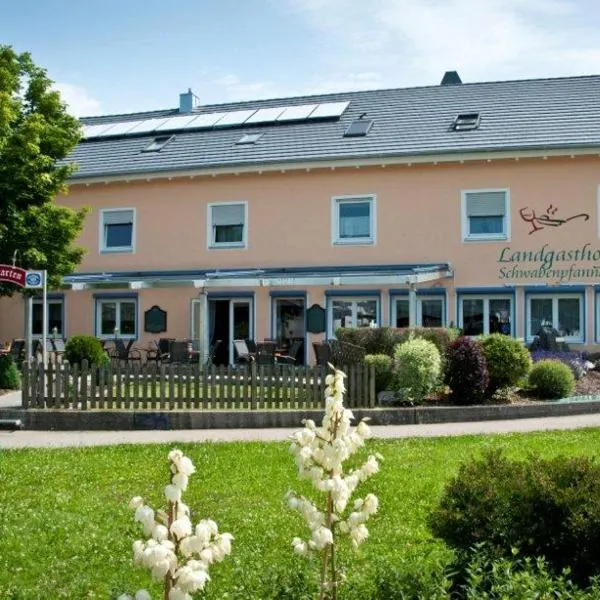 Landgasthof Schwabenpfanne，位于Erbach的酒店