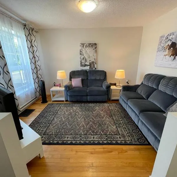 3 Bedrooms cozy comfortable vacation home downtown Gatineau Ottawa near Parliamant and Park，位于加蒂诺的酒店