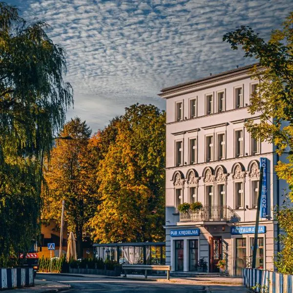Hotel Stronie，位于Goszów的酒店