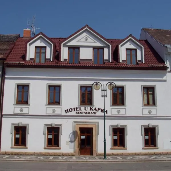 尤卡普拉酒店，位于Borovnička的酒店