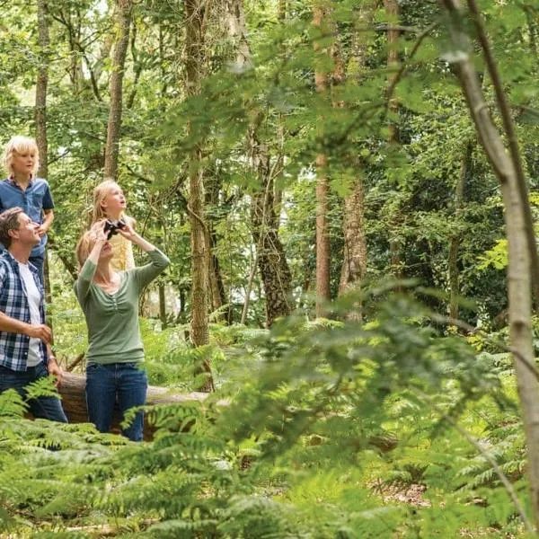 Exmoor Gate Lodges，位于沃切特的酒店