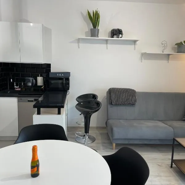 Modern Box Apartment，位于露米雅的酒店