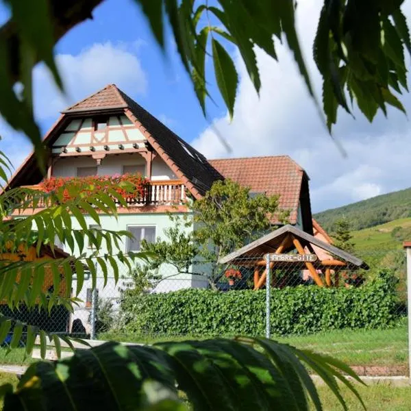 Au Jardin d'Edel Gîtes Centre Alsace，位于迪耶方塔勒的酒店