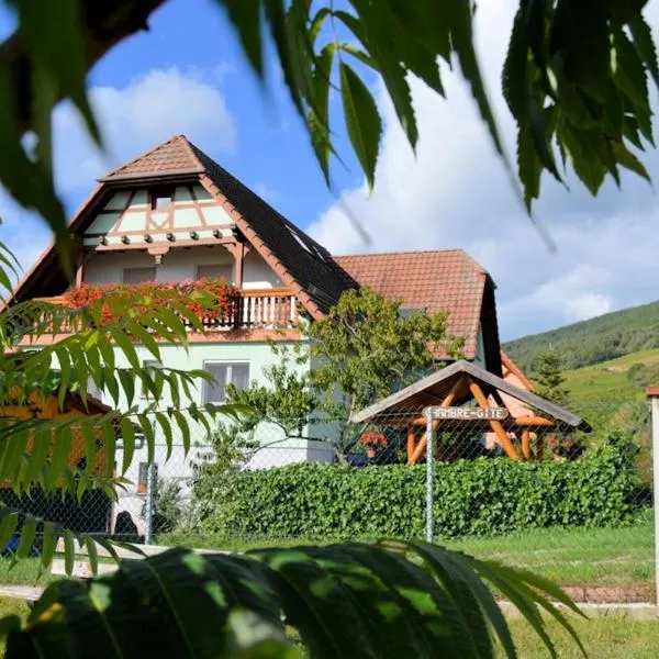 Gîte Shabby centre Alsace，位于迪耶方塔勒的酒店