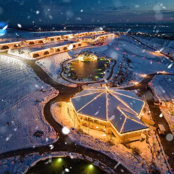 Casa Timiș - Wellness & Spa Resort，位于Chiţorani的酒店