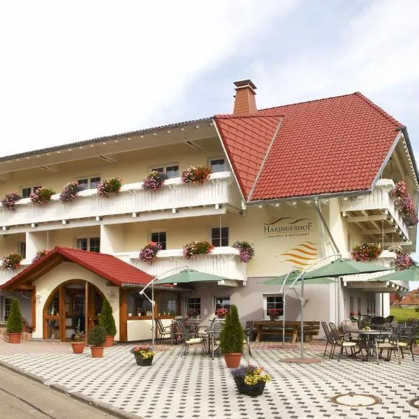 Landhotel Haringerhof mit Saunawelt und Naturbadeteich，位于Gündelwangen的酒店
