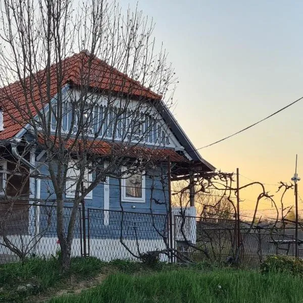 Old Mill，位于Slavsko Polje的酒店