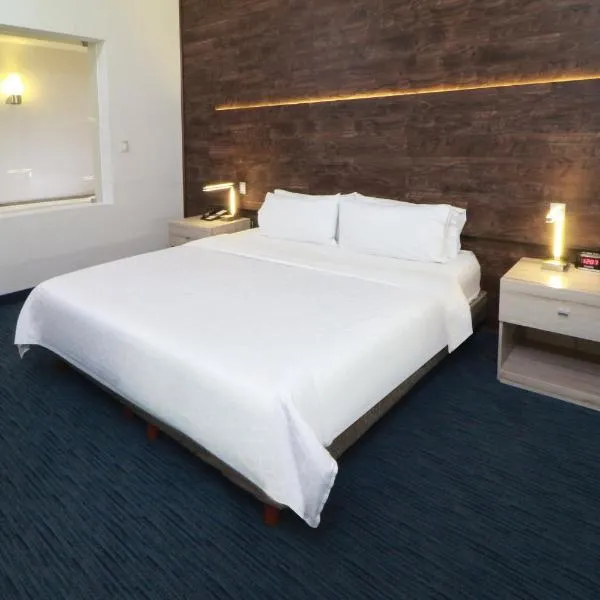 Holiday Inn Express San Luis Potosí by IHG，位于圣路易斯波托西的酒店
