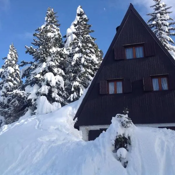 Baita Giggia sulle piste - Cavalese in Trentino Alto Adige cottage chalet，位于卡瓦莱塞的酒店