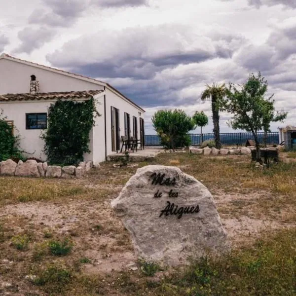 Casa Rural Mas de les Àligues，位于梅基嫩萨的酒店