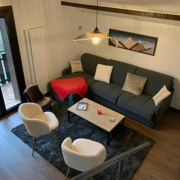 Duplex 3 chambres Vue Mont-Blanc，位于Domancy的酒店