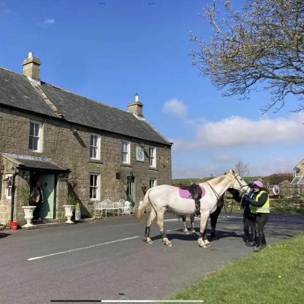 Bird In Bush Elsdon，位于Elsdon的酒店