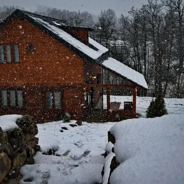 Cabana Codrii Maramuresului，位于Giuleşti的酒店