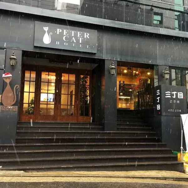 Petercat Hotel Shinchon，位于首尔的酒店