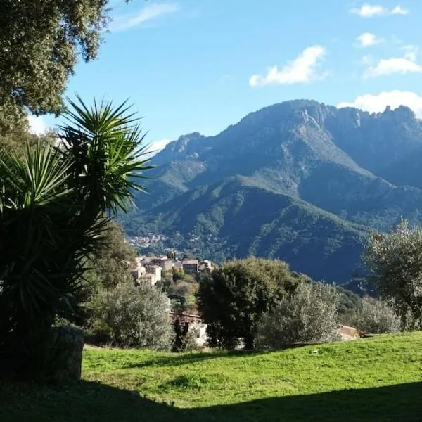 Appartement avec vue sur la montagne，位于Vico的酒店