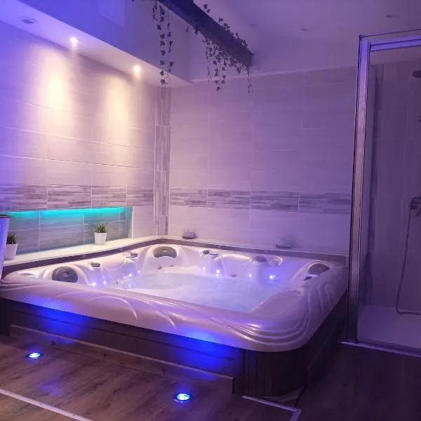 A l'ombre du Lilas - avec Spa privatif en supplément，位于埃皮纳勒的酒店