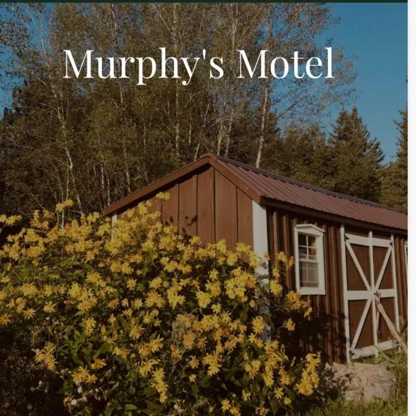 Murphy’s Motel，位于Calabogie的酒店