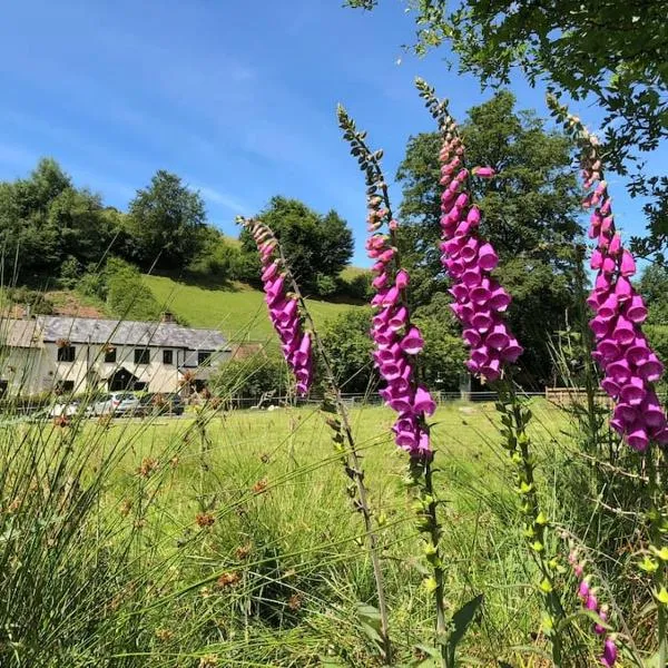 Luxury Exmoor Barn conversion with Sauna，位于Exford的酒店