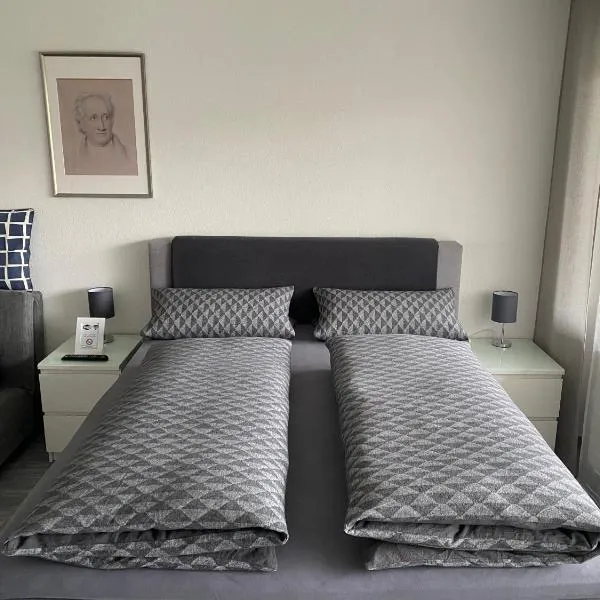 Apartment Goethe，位于莱茵河畔威尔的酒店