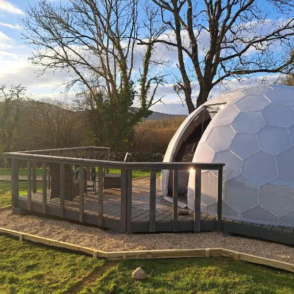 Luxury Glamping Dome with views of the Burren，位于戈特的酒店