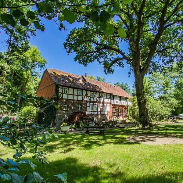 Hotel Hohlebach Mühle，位于Knüllwald的酒店