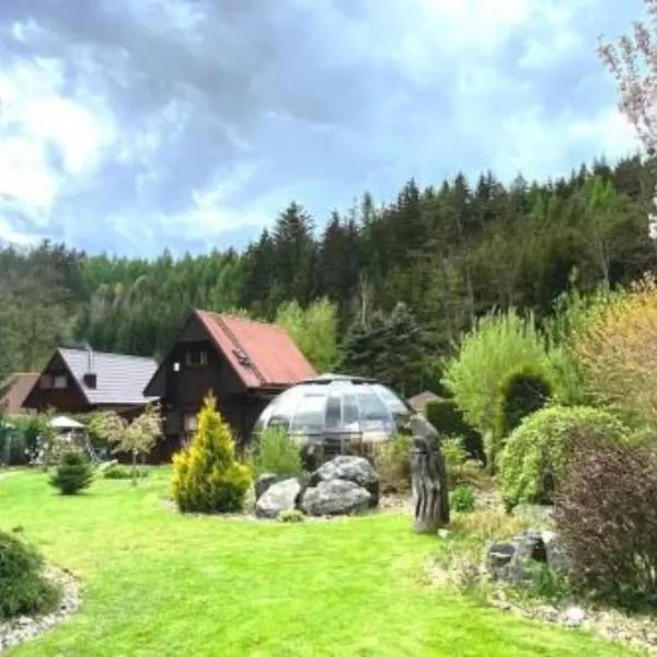 Charming cottage KLARA with Sauna, Nature&Privacy near Prague，位于Družec的酒店
