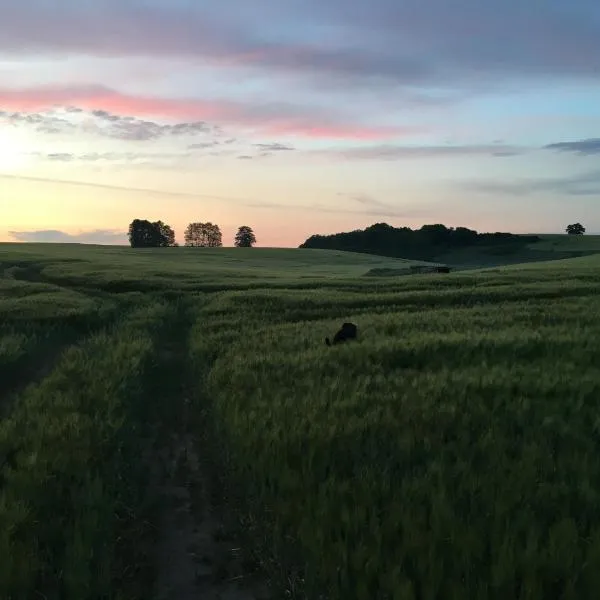 Broockhof Ferienwohnung unterm Sternenhimmel in Mecklenburg，位于Lohmen的酒店