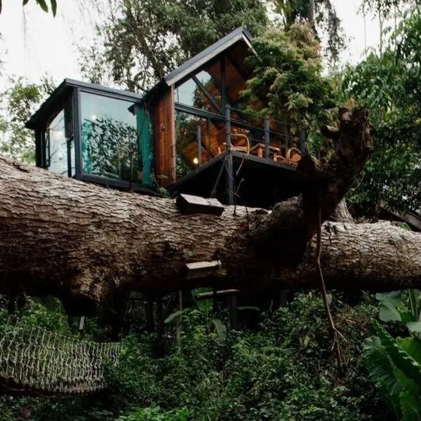 Wilderness Treehouse，位于Ban Pang Ai的酒店