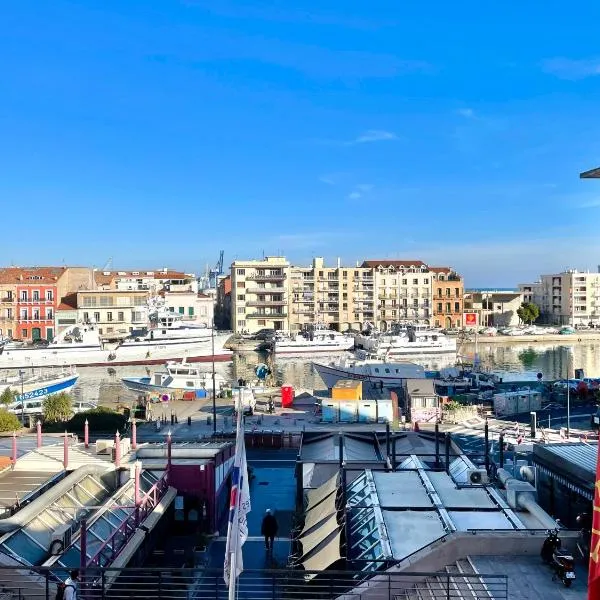 Grand appartement avec vue sur quai，位于塞特港的酒店