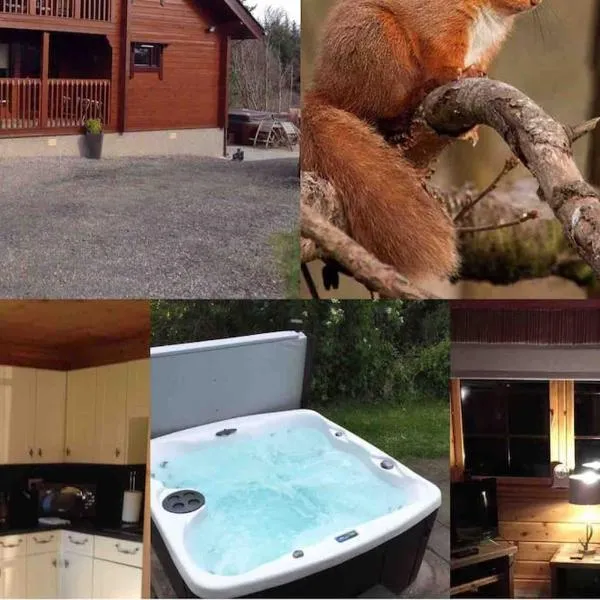 Red Squirrel log cabin with hot tub，位于基斯的酒店