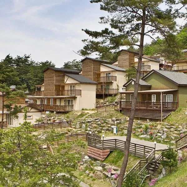 Hyundai Soo Resort Hoengseong，位于平昌的酒店