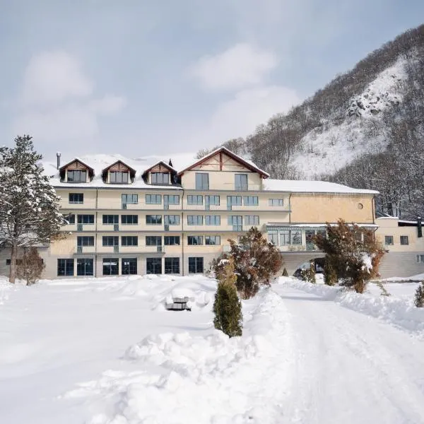 Apricot Aghveran Resort，位于阿格沃兰的酒店